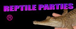 Reptile parties Melbourne Logo