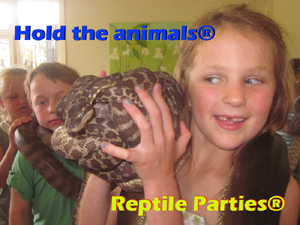 reptile parties